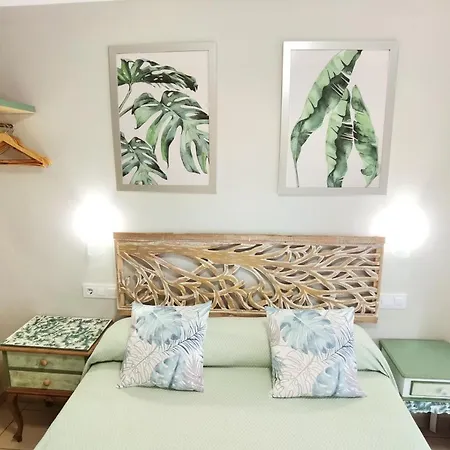 Rigau Guest house *